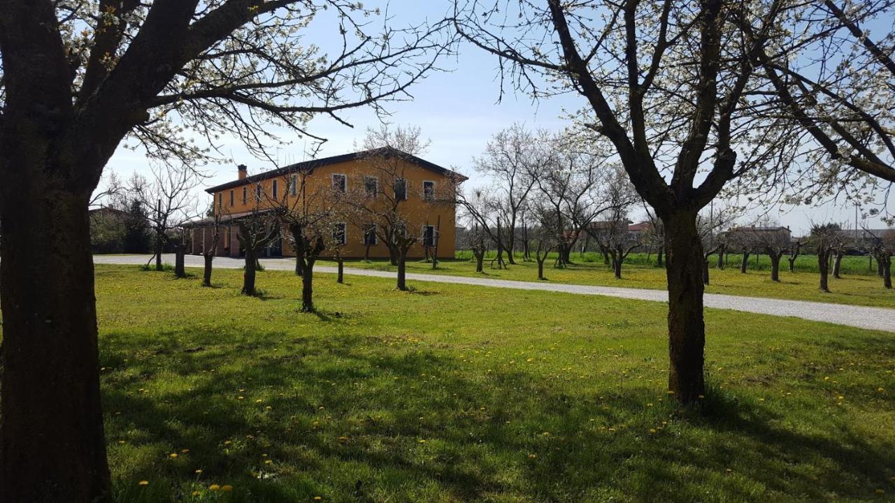 Villa Agriturismo Borgo Borromeo Rubano Exterior foto